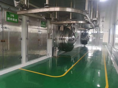 真空凍干機(jī)廠家淺析凍干工藝階段剖析 真空凍干機(jī)廠家淺析凍干工藝階段剖析